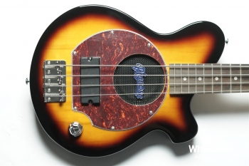 PGB-200 - Brown Sunburst